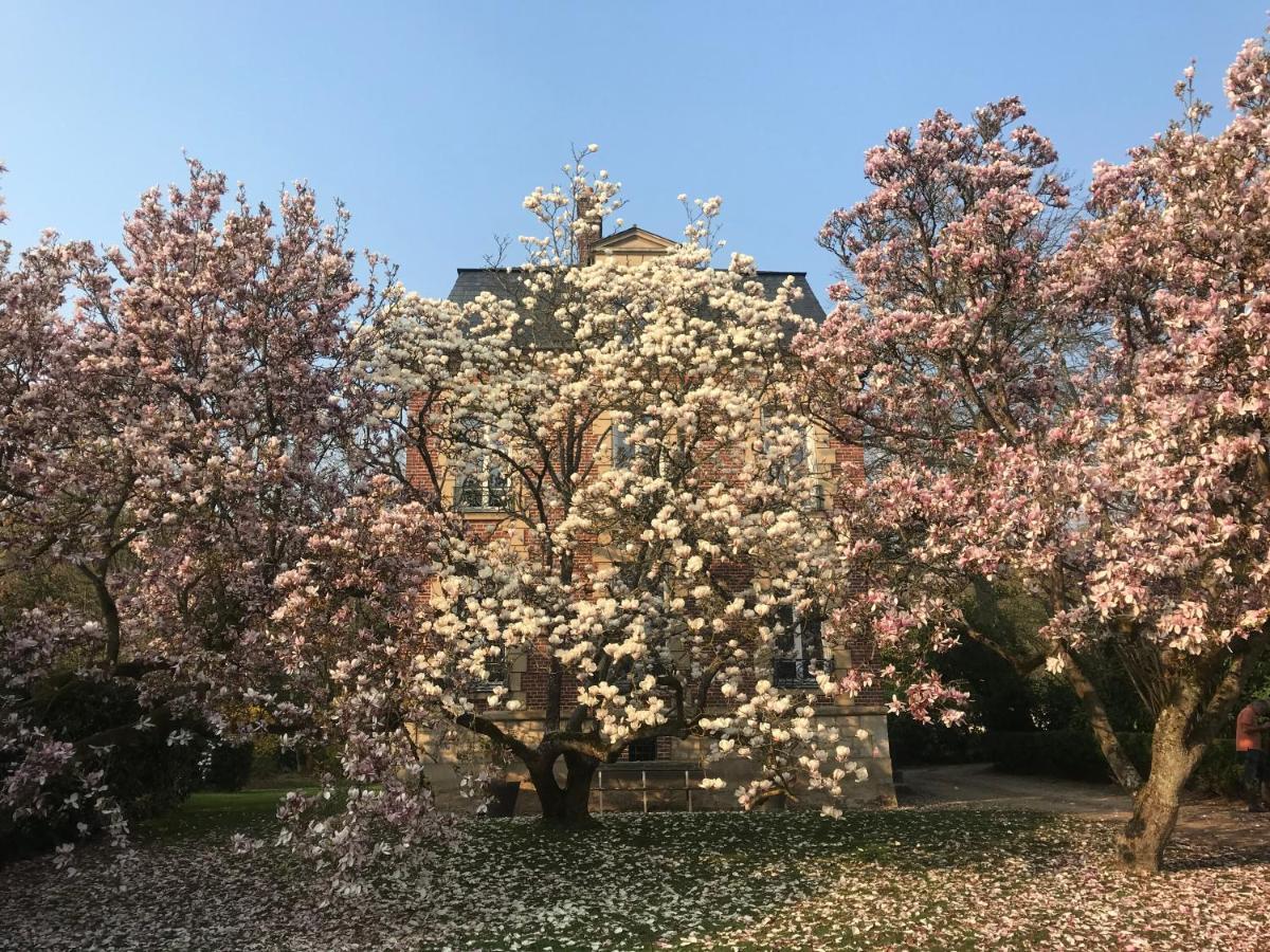 Bed and Breakfast L'Atelier Des Magnolias Aumont-en-Halatte Esterno foto